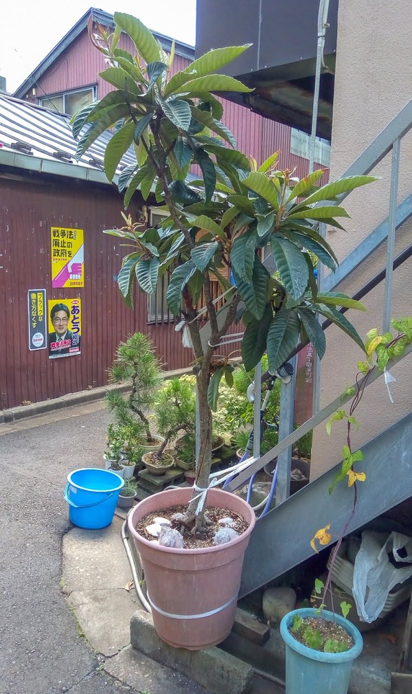 05