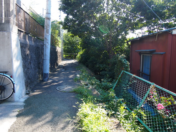 P8204195