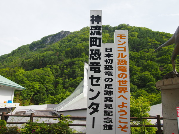 P5065242