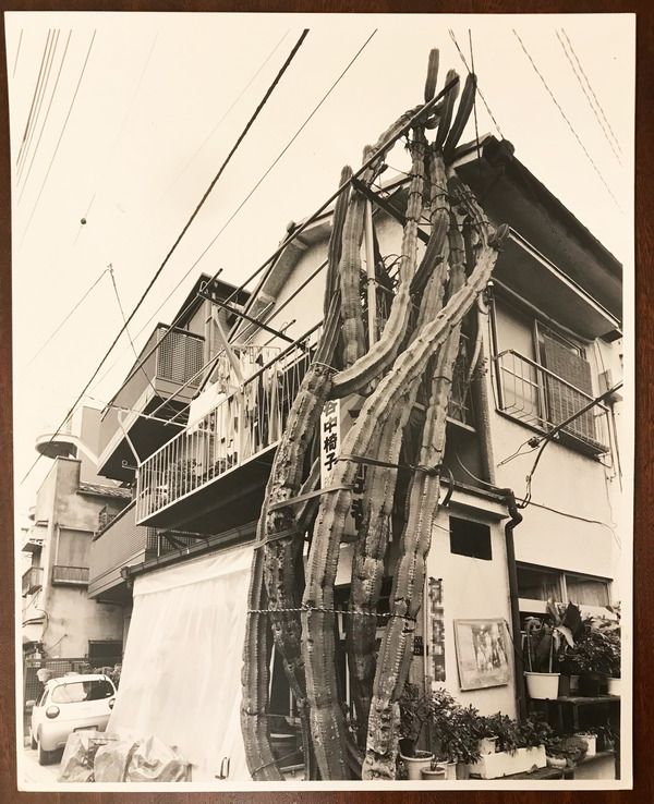 逕サ蜒十逕サ蜒・1