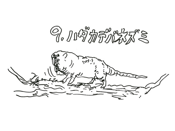 31_kikuchi