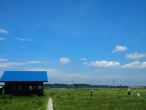P7070409