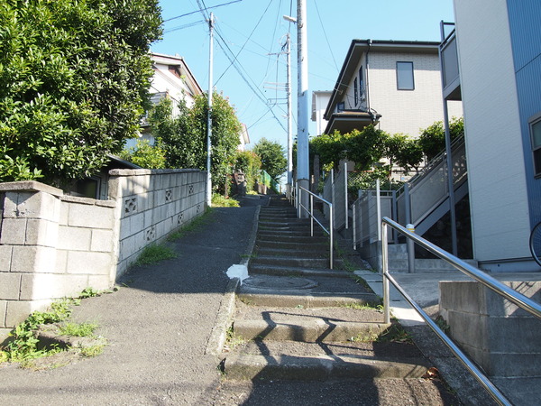 P8204194