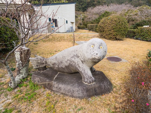 niijima-57