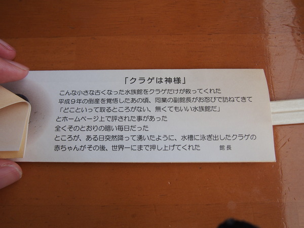 P7243266
