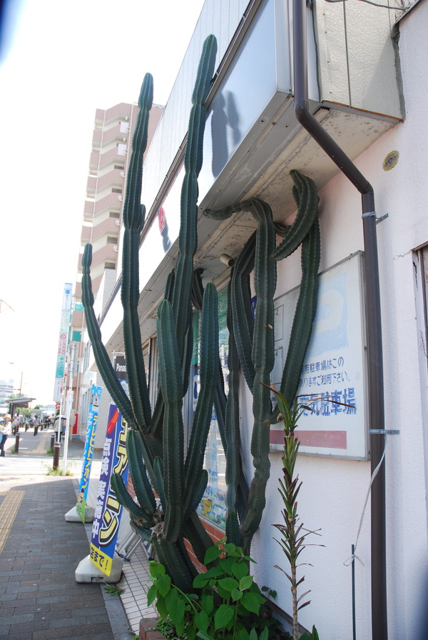逕サ蜒十逕サ蜒4・