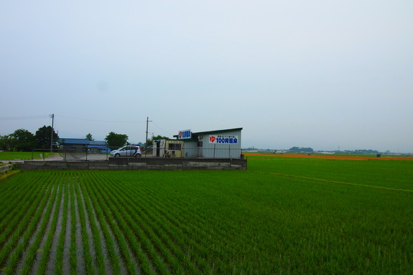 P6269006