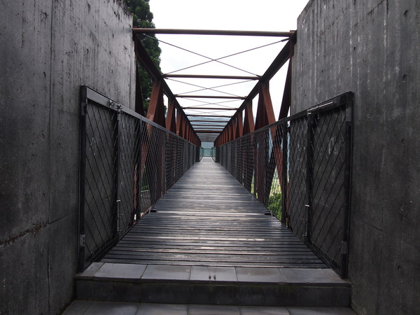P7263580