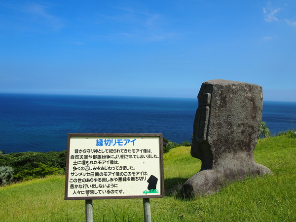 P8298267