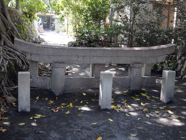 P8308350