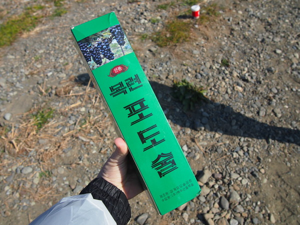 P1045553