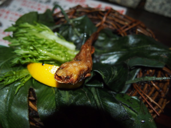珍獣屋 でウーパールーパーの一本揚げ ワニの手の一本揚げ マンボウの刺身を食べてきた 東京別視点ガイド 珍獣屋 でウーパールーパーの一本揚げ ワニの手の一本揚げ マンボウの刺身を食べてきた 東京別視点ガイド