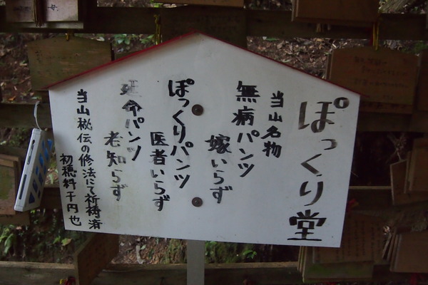 P9130537