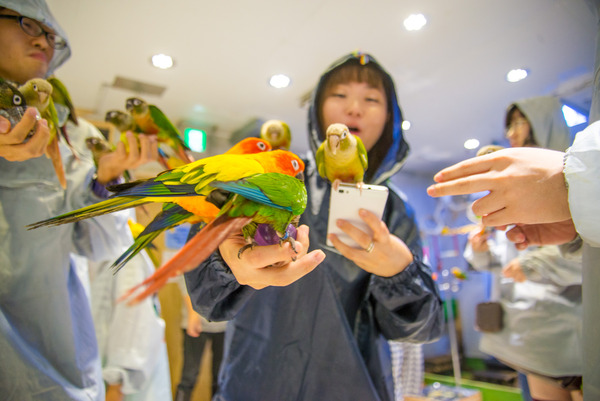 ・160925_bird-36