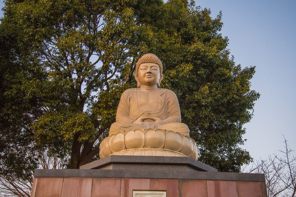 20161209_kasama-inari-125