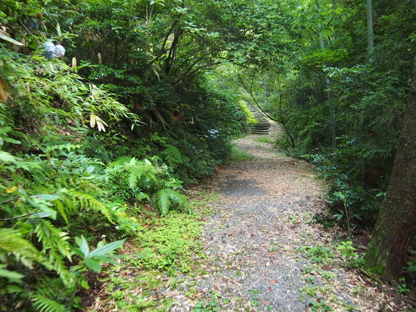 P7274047