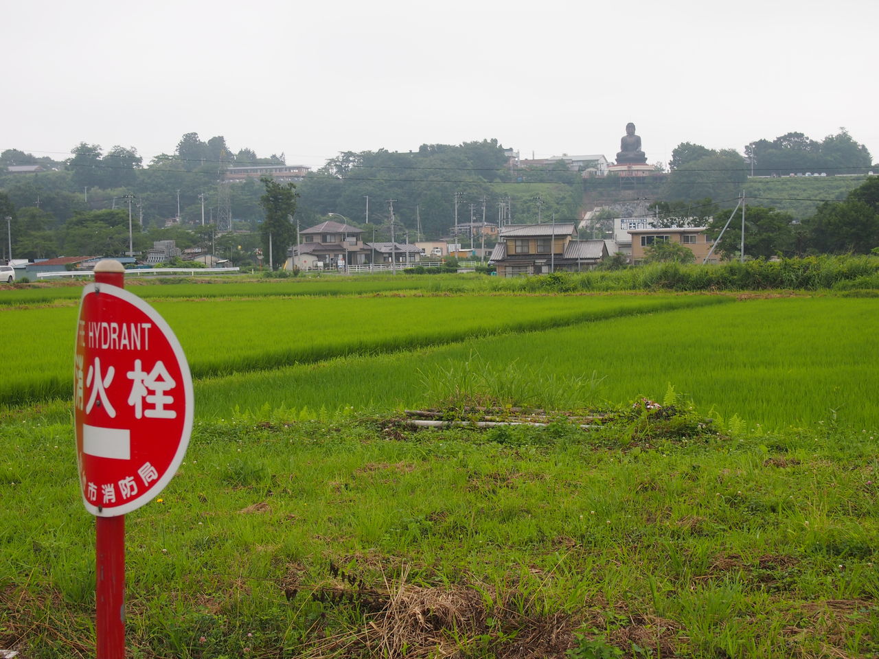超短いモノレールでいく「愛子大仏」を参拝してきた : 東京別視点ガイド
