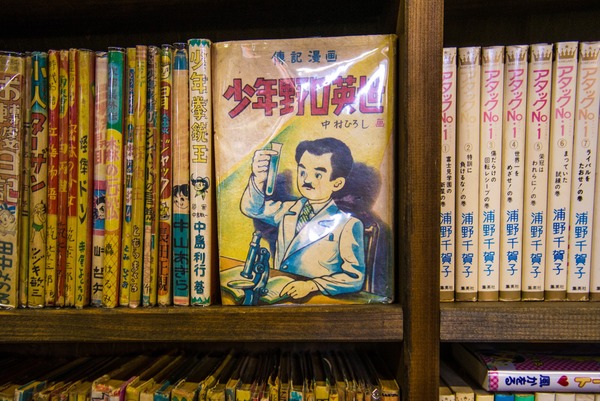 aomushi-6