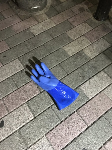 29