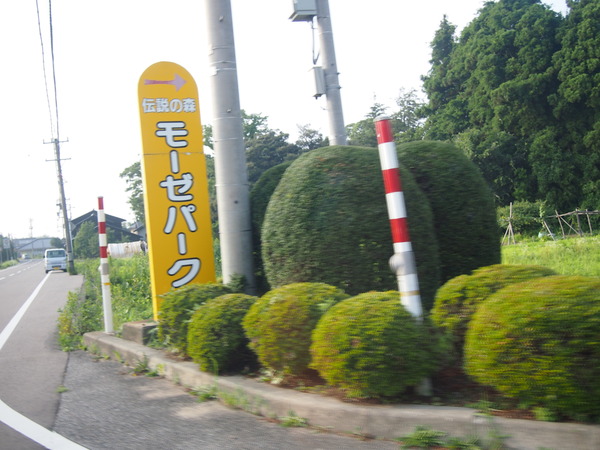 P7274016