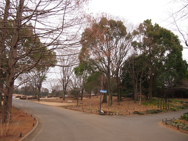P1304165