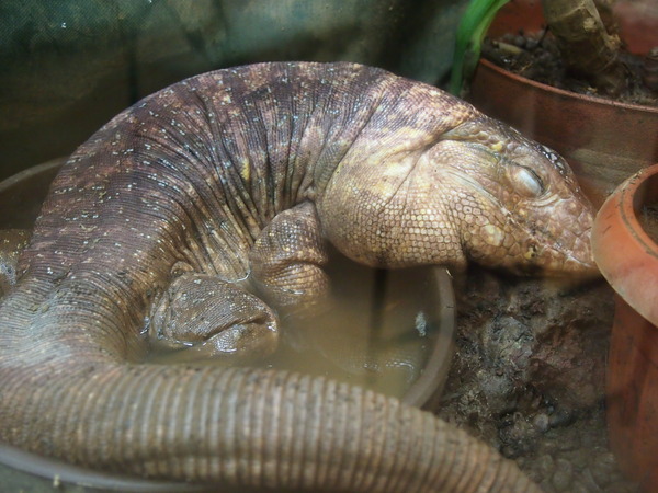 P7122356