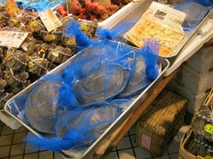IMG_1082