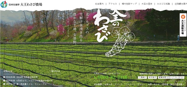 大王わさび