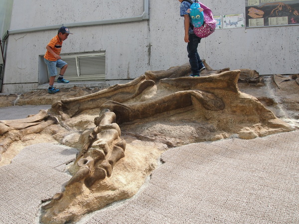 P5065293