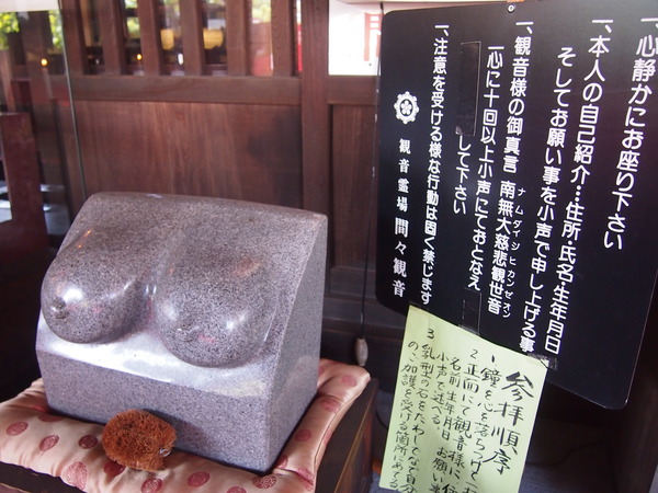 P8024511