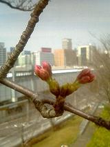 040317_1244~0001.JPG