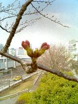 040316_1251~0001.JPG