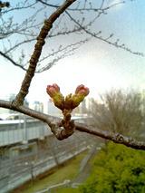 040315_1228~0001.JPG