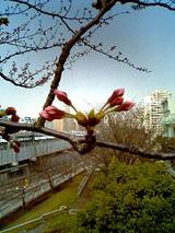 040319_1229~0001.JPG