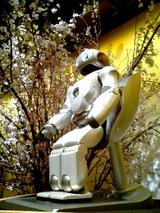 040326_1420~0001.JPG