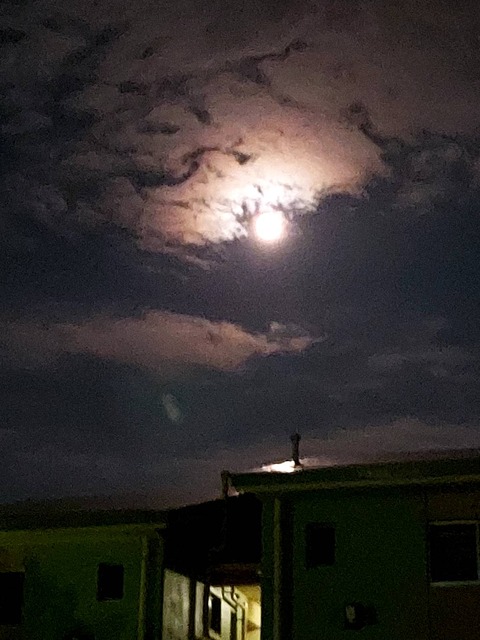 1790405075529