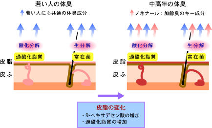 shiseido_r_99_02_c