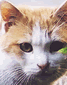 a4689a5a.gif