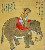 20110428_elephant01