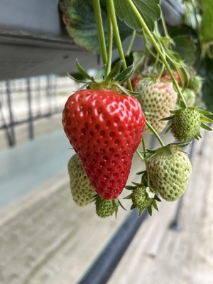 9D0A4D3C-B066-436F-A65C-AEC71AD2F22A