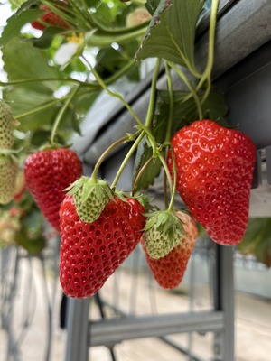 430A7A04-01C4-43D5-B768-D12D163C6D9B