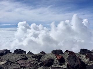 IMG_2523