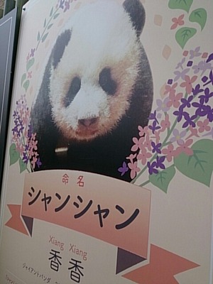 IMG_20180611_232730340