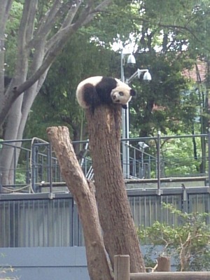 IMG_20180514_200047455