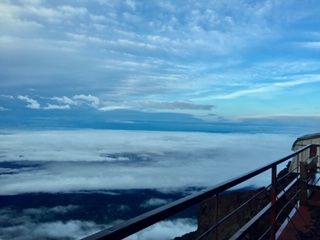 IMG_2486