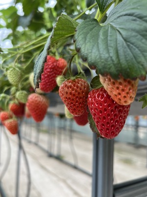 B46F6F3D-C7FA-4C47-9CF6-161020C477AA