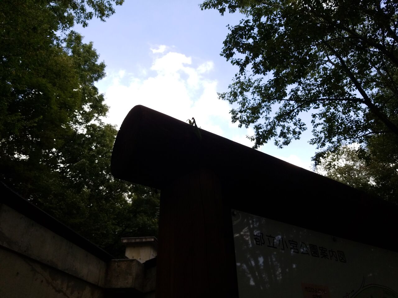 東京公園行ってみる
793. 都立小宮公園(東京都八王子市暁町二丁目)
コメント
