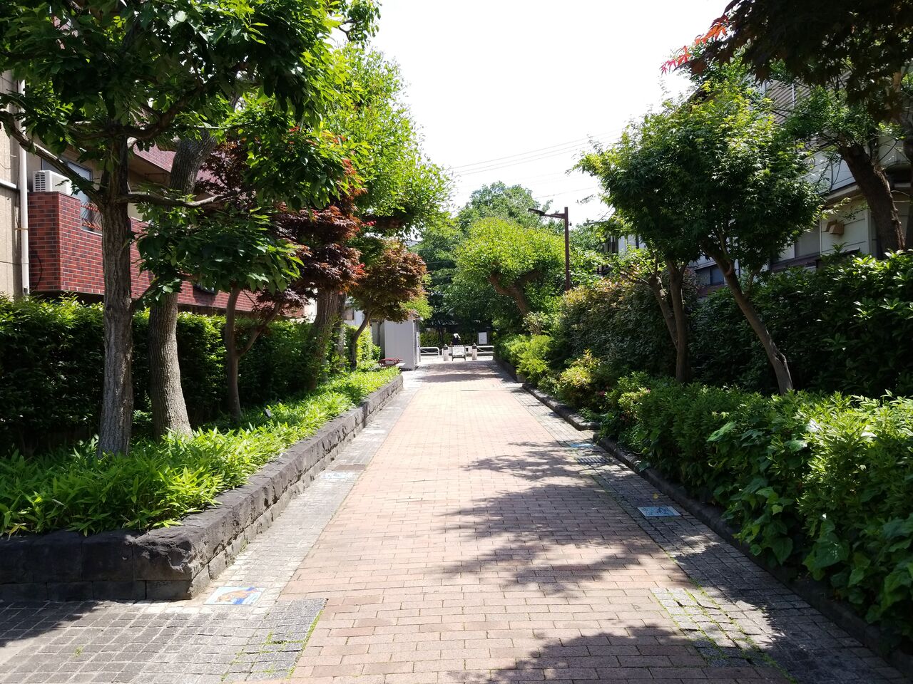 339. 烏山川緑道（東京都世田谷区三宿二丁目ほか） 片っ端から公園を巡って紹介するサイト