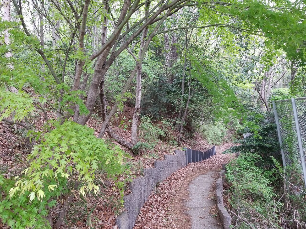 2609. 鑓水小山4号緑地(東京都町田市小山ケ丘四丁目) 東京公園行ってみる 2609. 鑓水小山4号緑地(東京都町田市小山ケ丘四丁目) 東京公園行ってみる