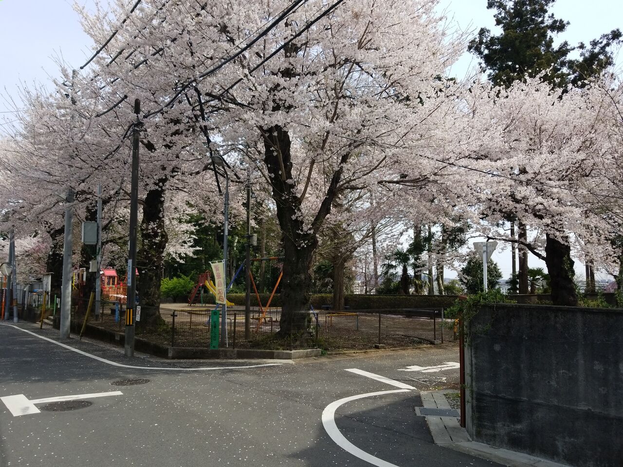 1364. 朝日ケ丘竹公園(東京都八王子市散田町二丁目) 東京都を中心とした公園巡り 1364. 朝日ケ丘竹公園(東京都八王子市散田町二丁目) 東京都を中心とした公園巡り